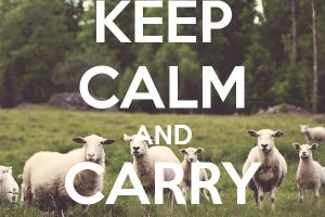 Câte județe ne mai trebuie, de fapt? O reorganizare pe care Constituția o permite de mult, dar n-a vrut-o nimeni 17 keep calm and carry on 53577323